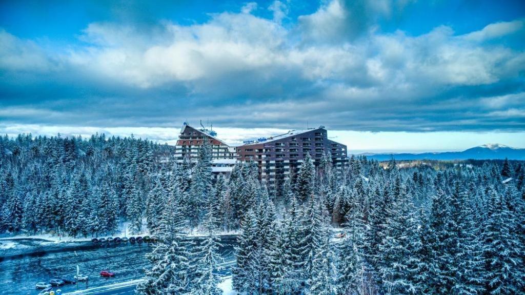 Alpin Resort Apartments Deluxe 2406 Poiana Brasov Eksteriør billede